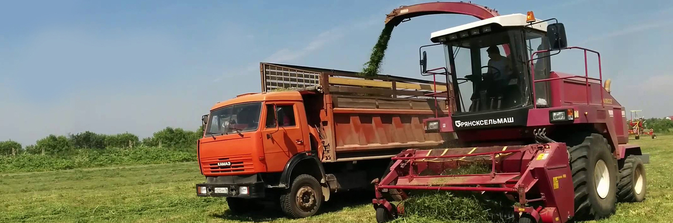 Главная - 4